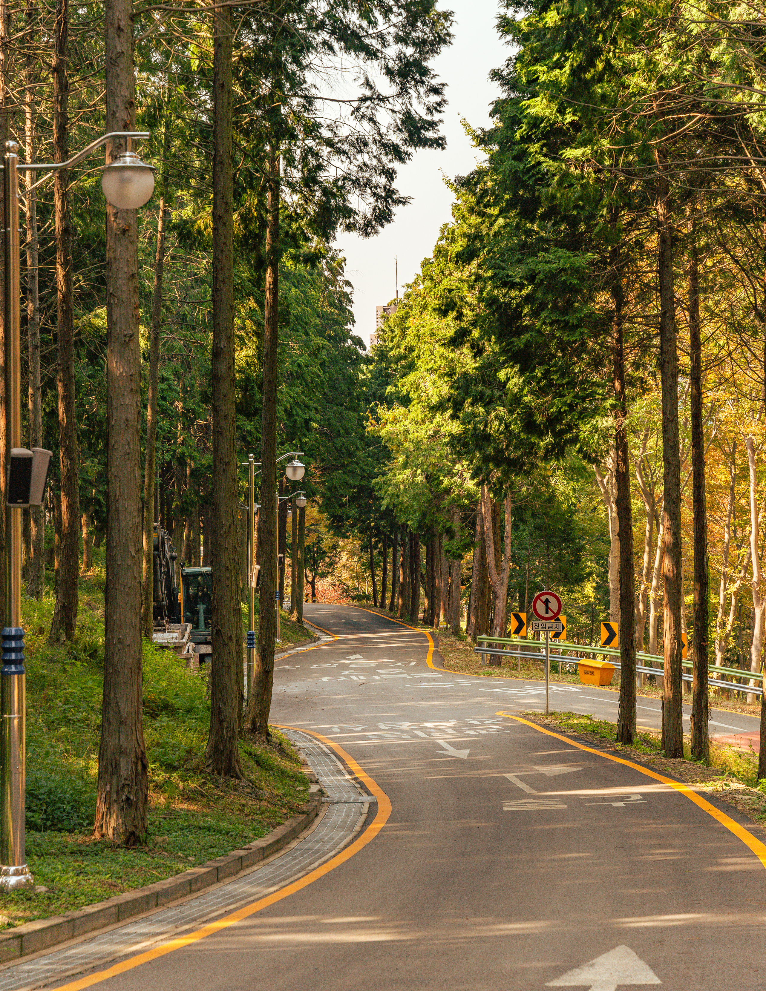 사천케이블카자연휴양림